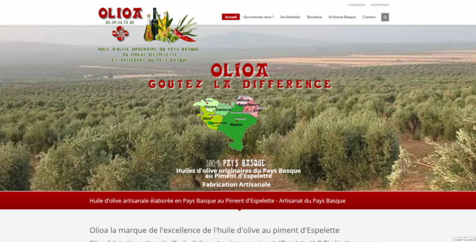 site-olioa-1024×511
